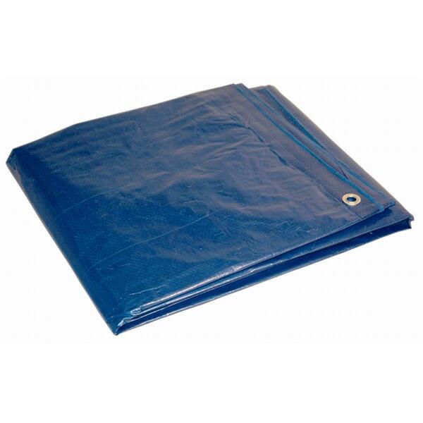 Foremost Tarp 16 ft x 20 ft Tarp, Blue 1620